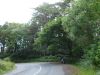 Filename=DSC03339.JPG
Filesize=368KiB
Dimensions=1296x972
Date added=Jul 27, 2009 DSC03339.JPG
